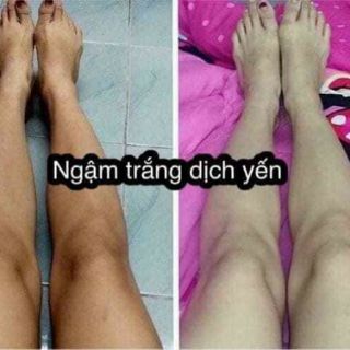 NGẬM TRẮNG DỊCH YẾN TƯƠI