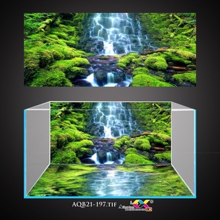 Tranh 3D - phông nền dán hồ cá, bể thuỷ sinh siêu đẹp và nét, có keo sẵn trên bề mặt,có thể in theo KT yêu cầu AQB21-197