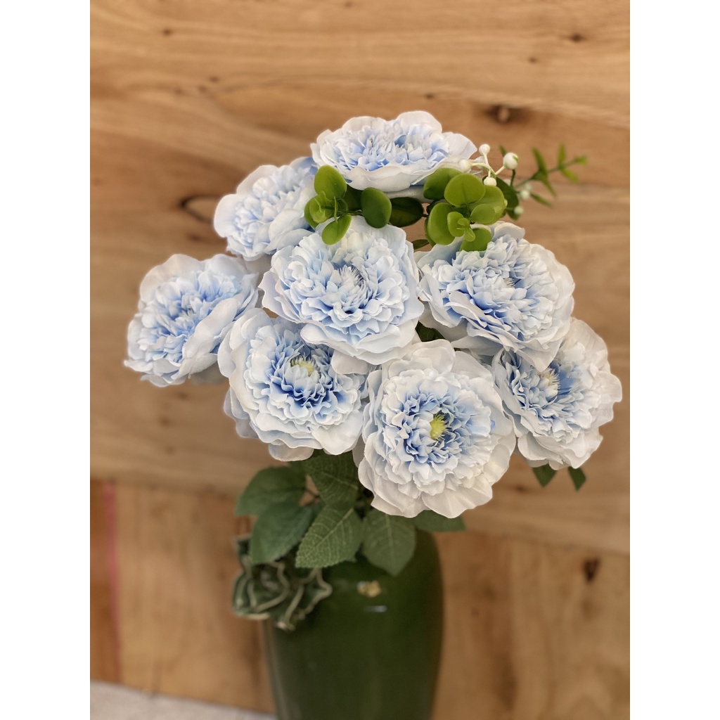 Bụi hoa trà nhị mẫu mới