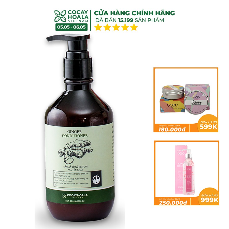 Dầu Xả Gừng Tươi Dưỡng Tóc Mềm Mượt Cocayhoala 300ml