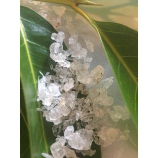 500G TUYẾT YẾN VỤN, NGÂM 30' NỞ.