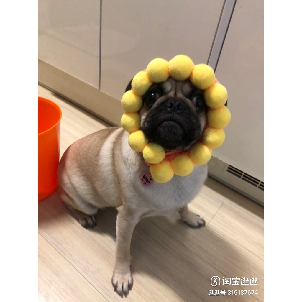 Mũ cho chó mèo dễ thương đủ kích thước từ 1kg tới 15kg