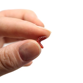 50 Mồi Giun Giả Câu Cá