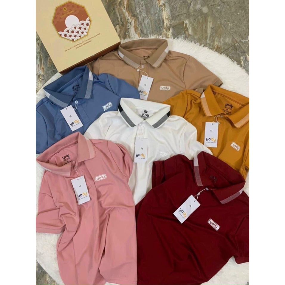 Áo polo yody cotton cho bé và gia đình