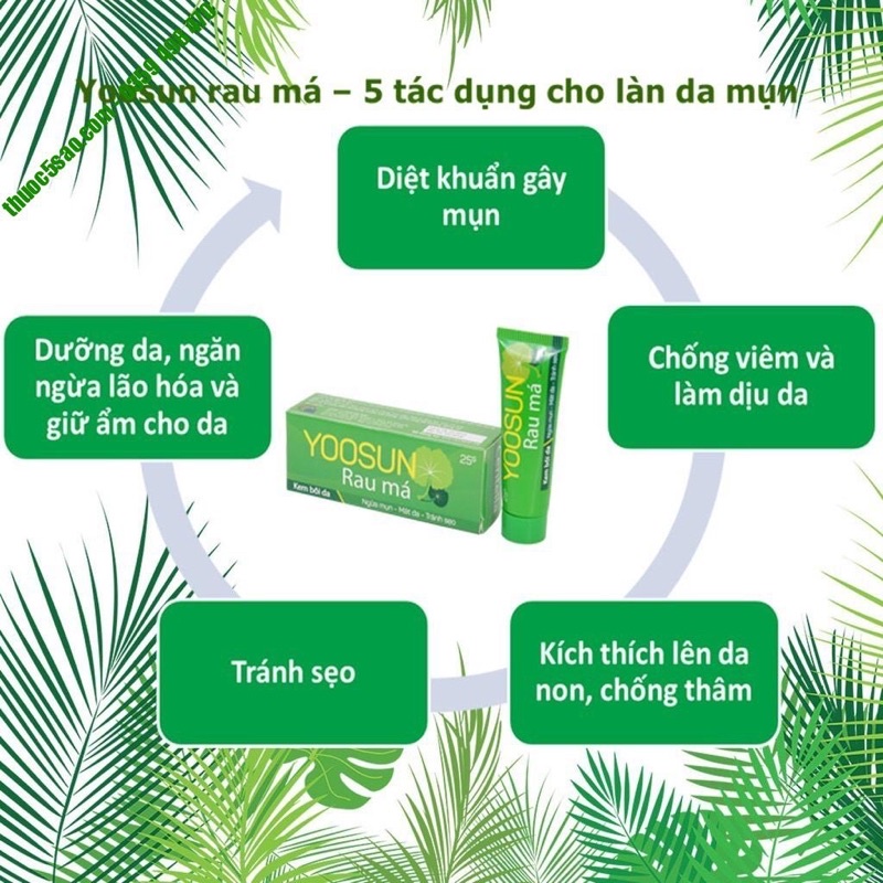 Yoosun Rau má | BigBuy360 - bigbuy360.vn