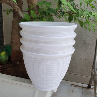 Bộ 4 chậu trồng hoa mây đan vành trắng 26x20cm