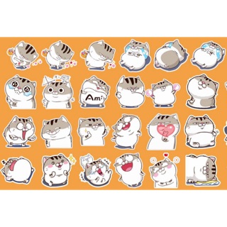 Sticker mèo ami set 30-50 cái ép lụa / hình dán mèo anim xinh iu