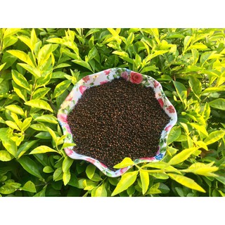 Nụ vối khô loại ngon từ cây vối cổ thụ 40 năm (gói 100g-1kg)