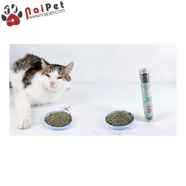 Cỏ Catnip Cỏ Bạc Hà Dạng Ống Cho Mèo Cat Min CCN008