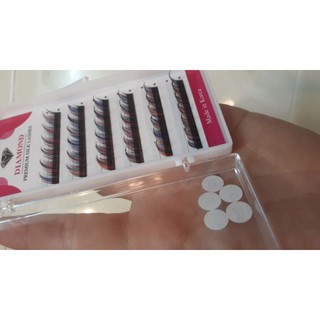 Mi màu đủ số (8 đến 15)