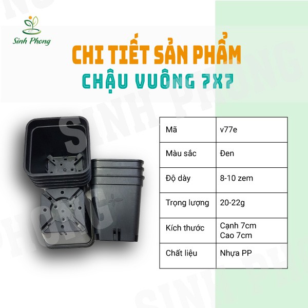 Chậu nhựa vuông 7x7 màu đen ( set 50 cái )