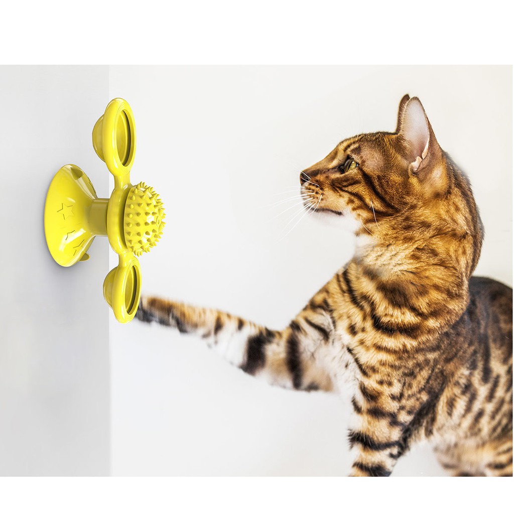 Đồ chơi cho mèo trụ tròn xoay (gắn kính hoặc nền nhà đá hoa) có bóng phát sáng có mát xa vui nhộn