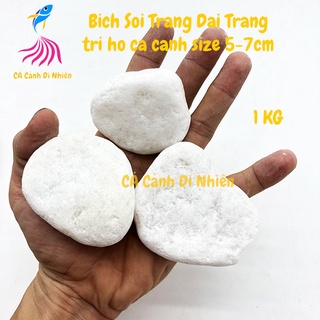 Bịch sỏi trắng 1 kg size đại 5-7 cm trang trí hồ cá cảnh