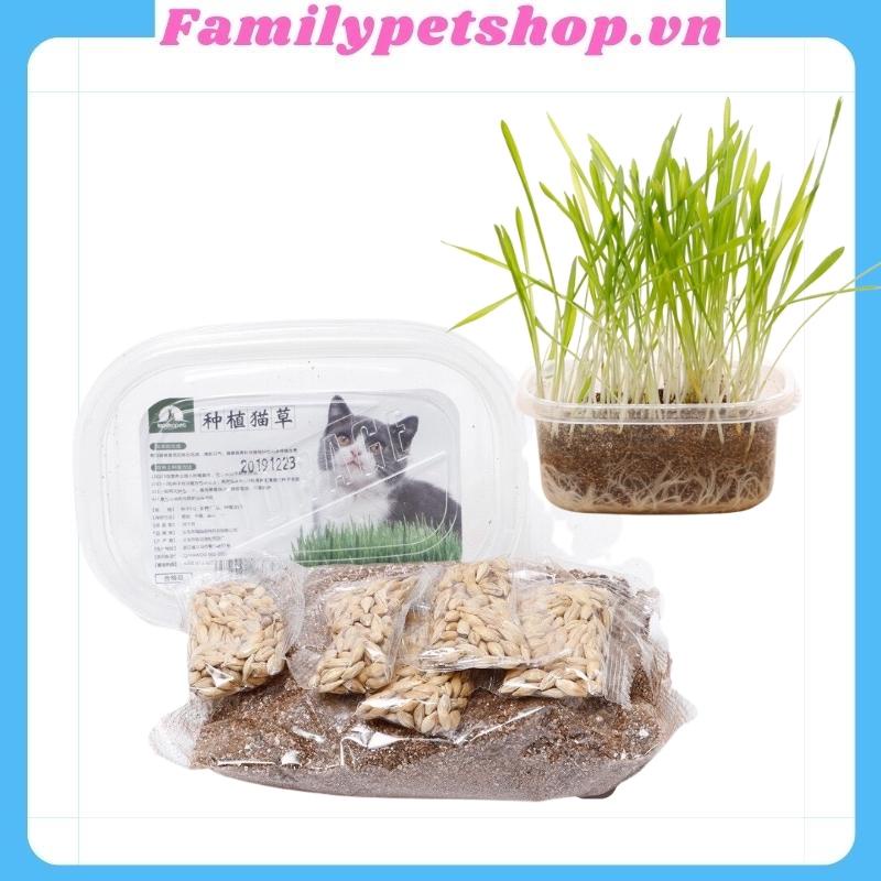 Hạt giống cỏ mèo-bộ trồng cỏ cho mèo-familypetshop.vn