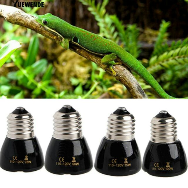 Đèn sưởi sứ mini 25/50/75/100w