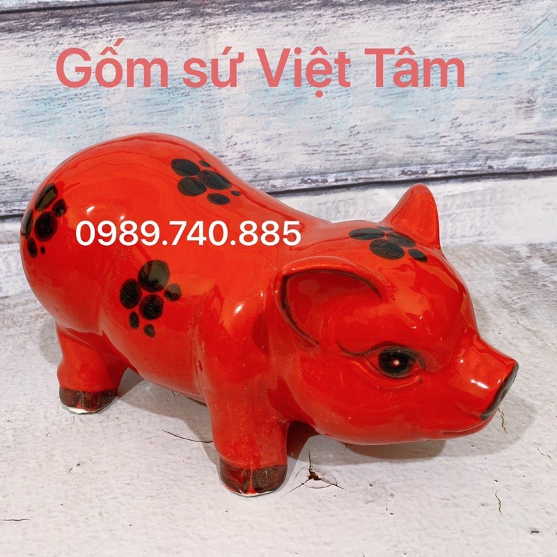 Heo sữa tiết kiệm