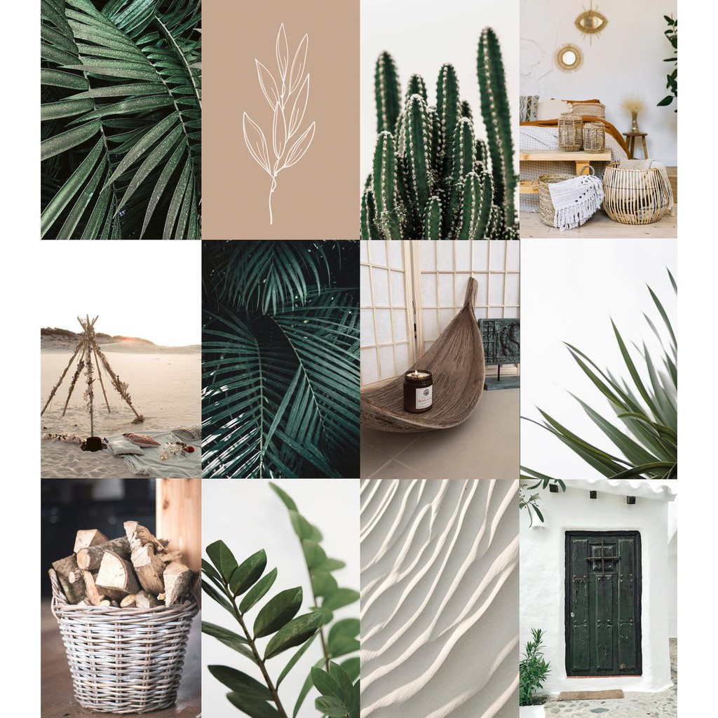 [FREESHIP EXTRA] 12 tấm Wall Collage - theme Botanico BOHO