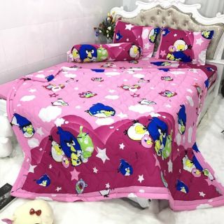 BỘ GA CHUN + 3 VỎ GỐI THUN HQ
