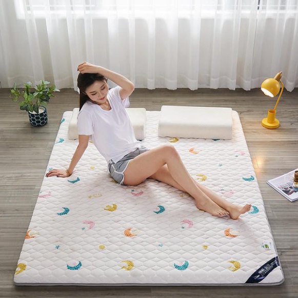 Đệm thảo dược cao cấp thế hệ mới _Hàng chuẩn_Nệm thảo dược tạo cảm giác ngon, thoáng mát sử dụng 4 mùa mùa Giá rẻ