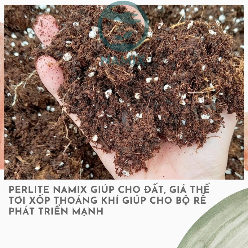 Đá Perlite- đá trân châu Namix- làm giá thể trồng hoa-TÚI 5DM