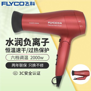 Máy sấy tóc Flyco Anion FH6266 2000W