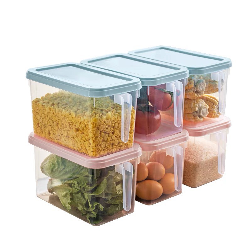 Hộp bảo quản thức ăn trong tủ lạnh có tay cầm (kích thước 31x15x16)