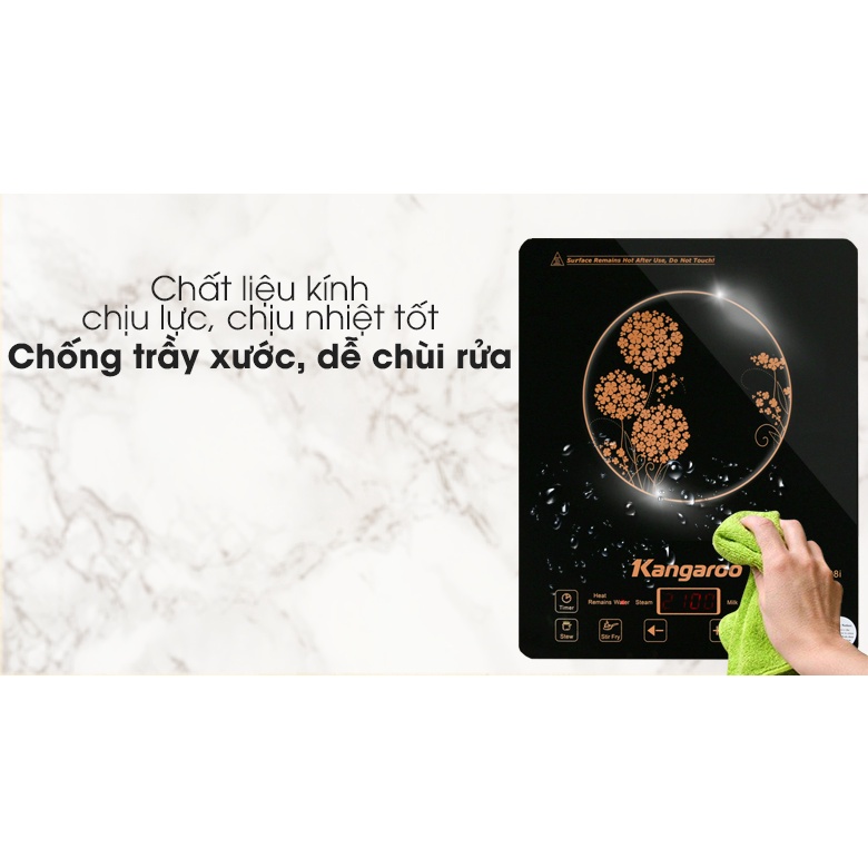 Bếp từ Kangaroo KG408I