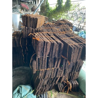 Dớn bảng trồng lan kích thước 60x20