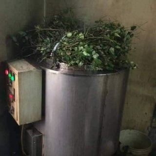 Cao chè vằng Quảng Trị 1kg
