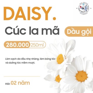 DAISY Chamomile Extract Shampoo - Dầu gội chiết xuất Cúc La Mã