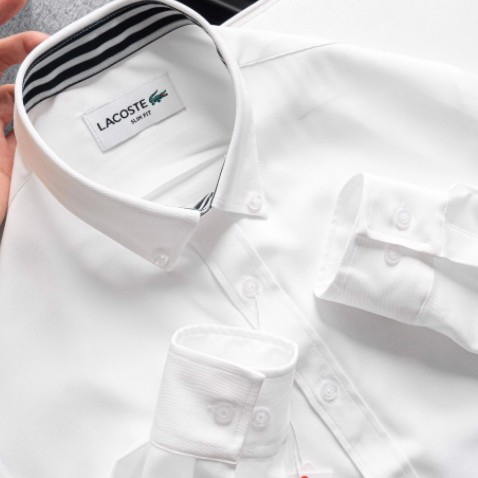 Áo sơ mi tay dài Cổ Khuy LACOSTE LOGO THÊU VẢI COTTON LỤA 6 MÀU siêu sang hàng xuất xịn | BigBuy360 - bigbuy360.vn