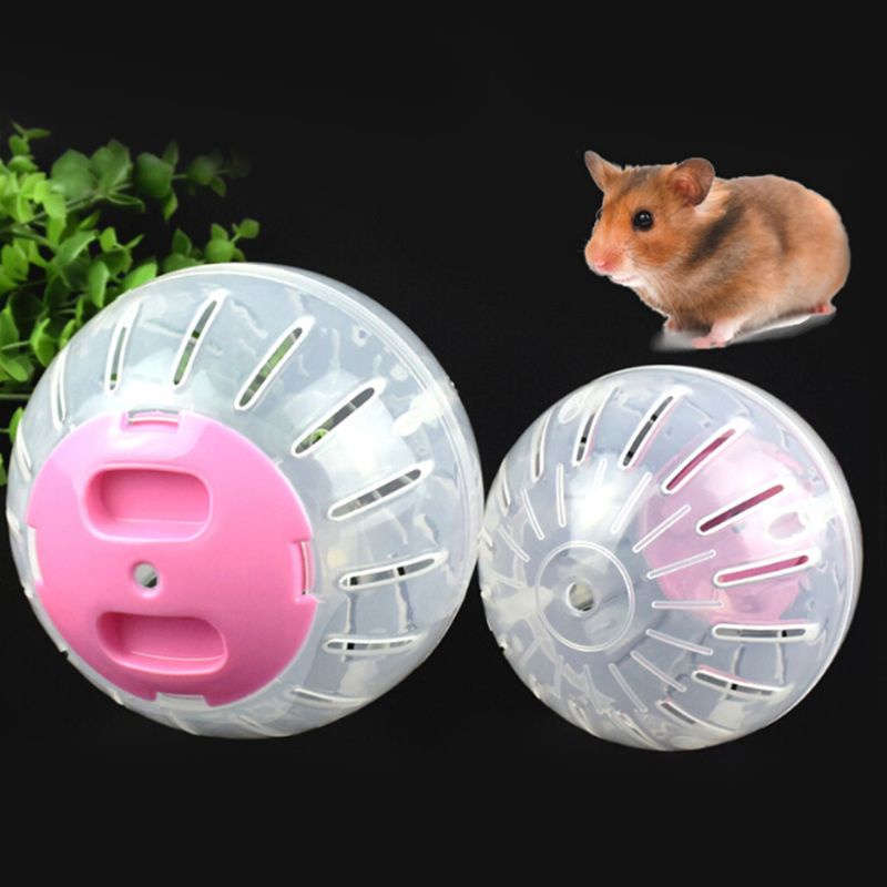 Bánh Xe Chạy Tập Thể Dục Cho Chuột Hamster