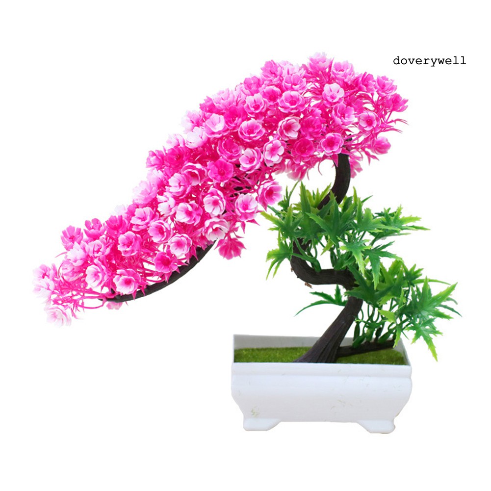 Đồ trang trí chậu cây bonsai mini bằng nhựa dùng trang trí