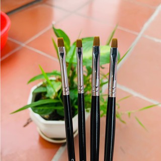 cọ bản vẽ hoa , đắp móng