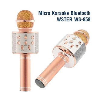 Micro hát karaoke kèm loa ws-858