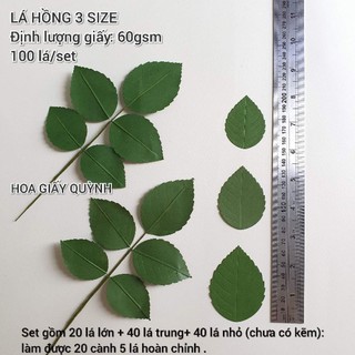 SET 100 LÁ HỒNG GIẤY 3 SIZE CẮT SẴN