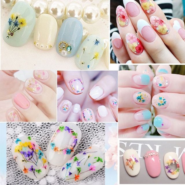 Hoa khô trang trí móng, sản phẩm resin.