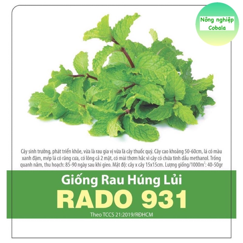 Hạt Giống Rau Húng Lủi Thơm Ngon (0.2gr)