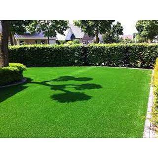 Hạt Giống Thảm Cỏ Bermuda gói 10 gram