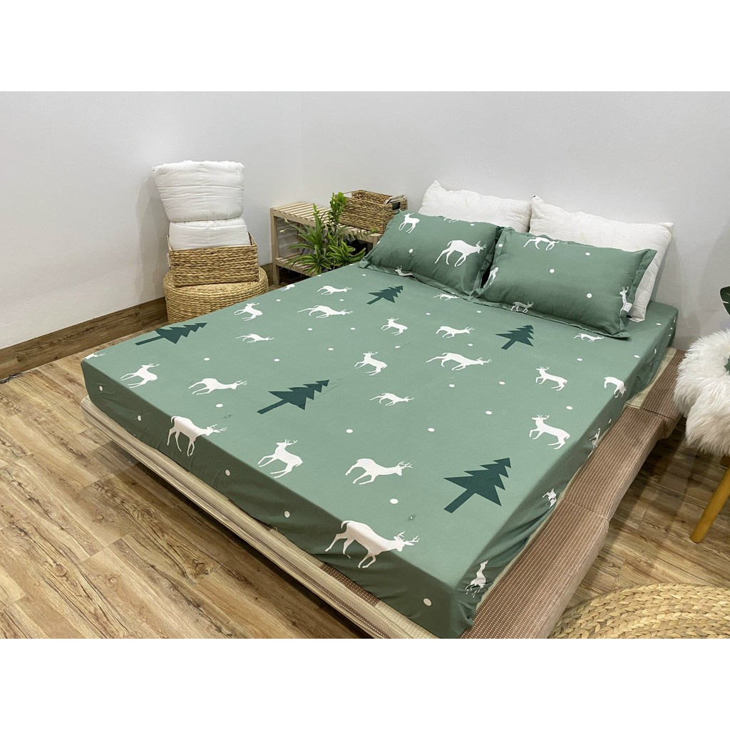 Bộ ga gối cottong poly khủng long xanh mẫu mới  đáng yêu đủ kích thước m6 m8 2m2