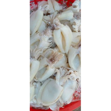 175k 1kg mực nang baby (giao nhanh Tp hcm)