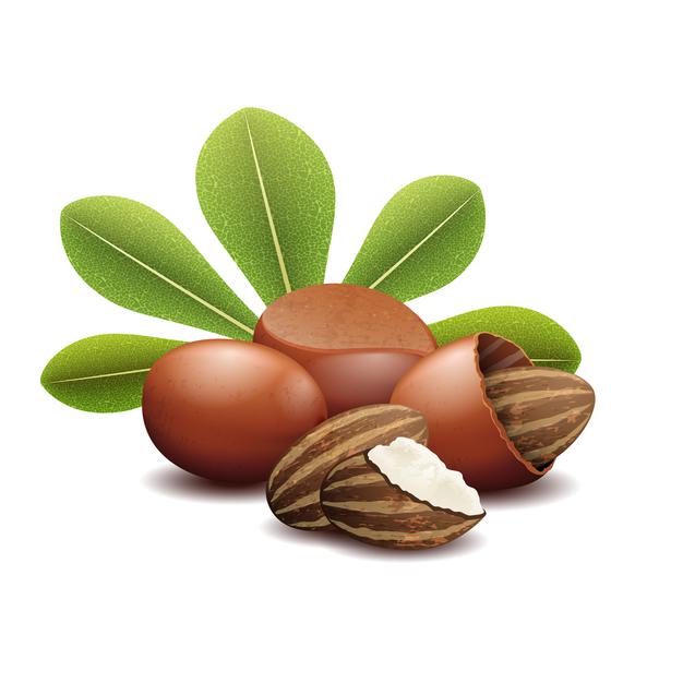 BƠ SHEA, BƠ HẠT MỠ  - Nguyên liệu mỹ phẩm