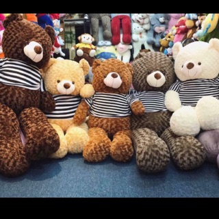 Gấu bông Teddy khổ vải 1m( Size thật 80cm)