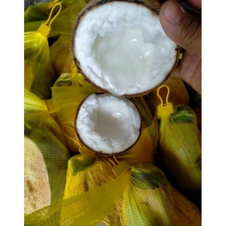 Dừa sáp cầu kè 190k/ trái