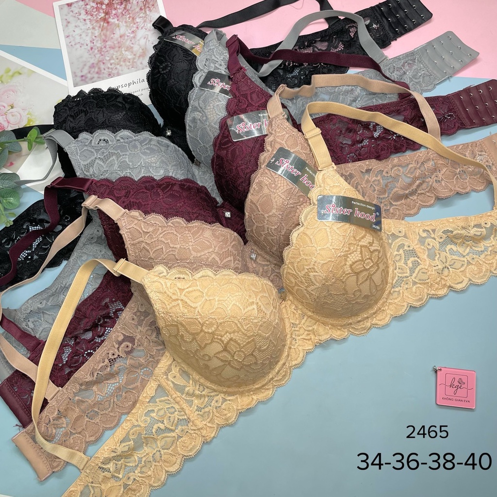 Áo lót ren nữ có gọng nâng ngực , áo ngực đệm mỏng quả to 2465