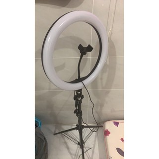 đèn live size 36 cm kèm chân đế 2m1