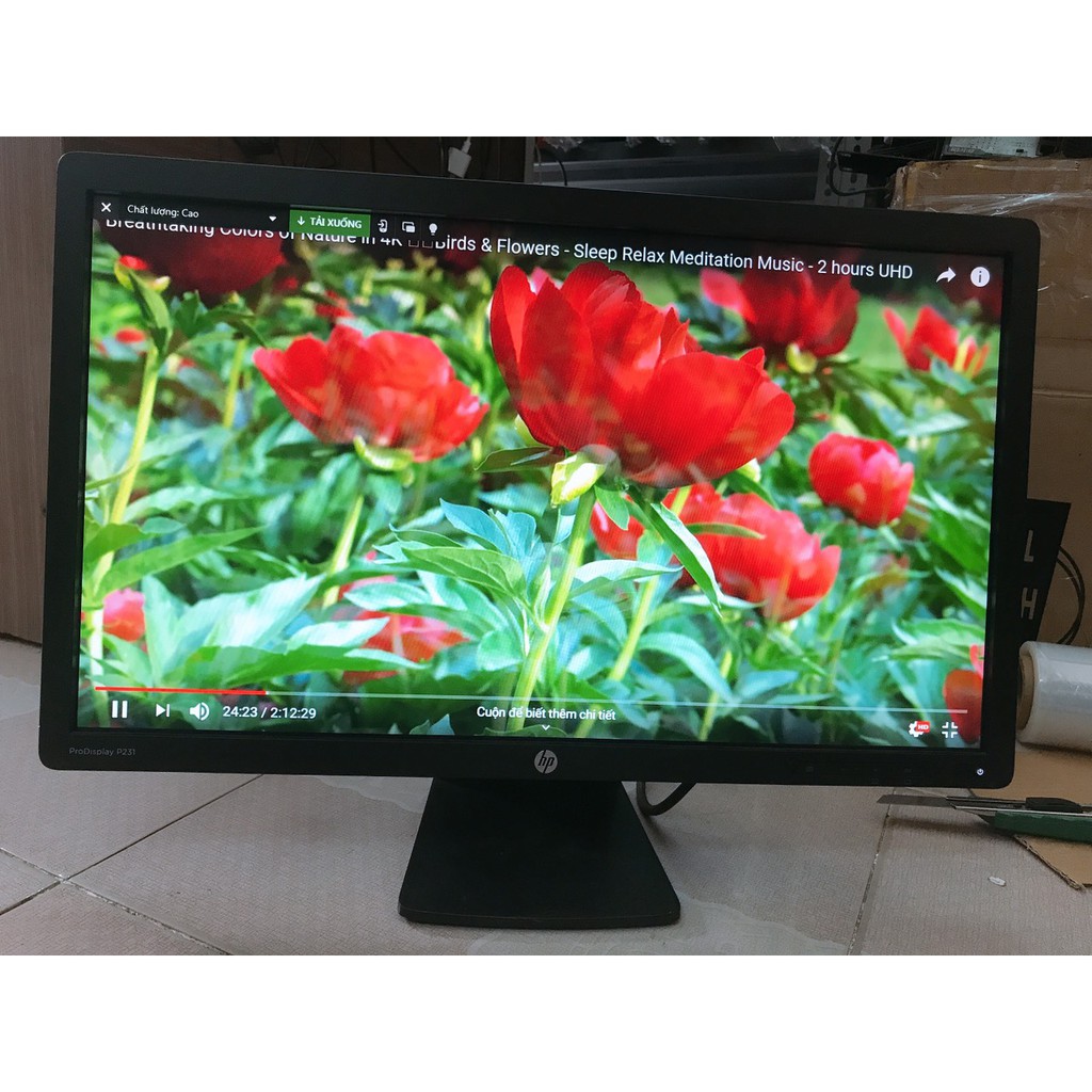 Màn hình máy tính HP 22 inch full HD