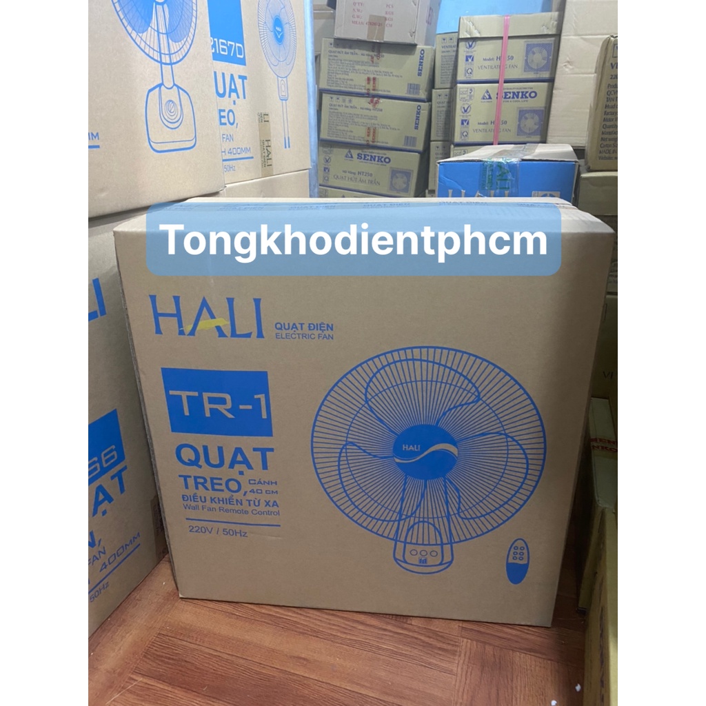Quạt treo tường Hali (CÓ REMOTE) TR-1 (Hàng chính hãng) - Màu xám