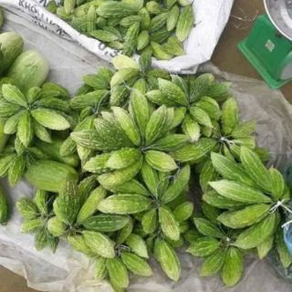 Mướp đắng rừng khô (khổ qua) - 1kg