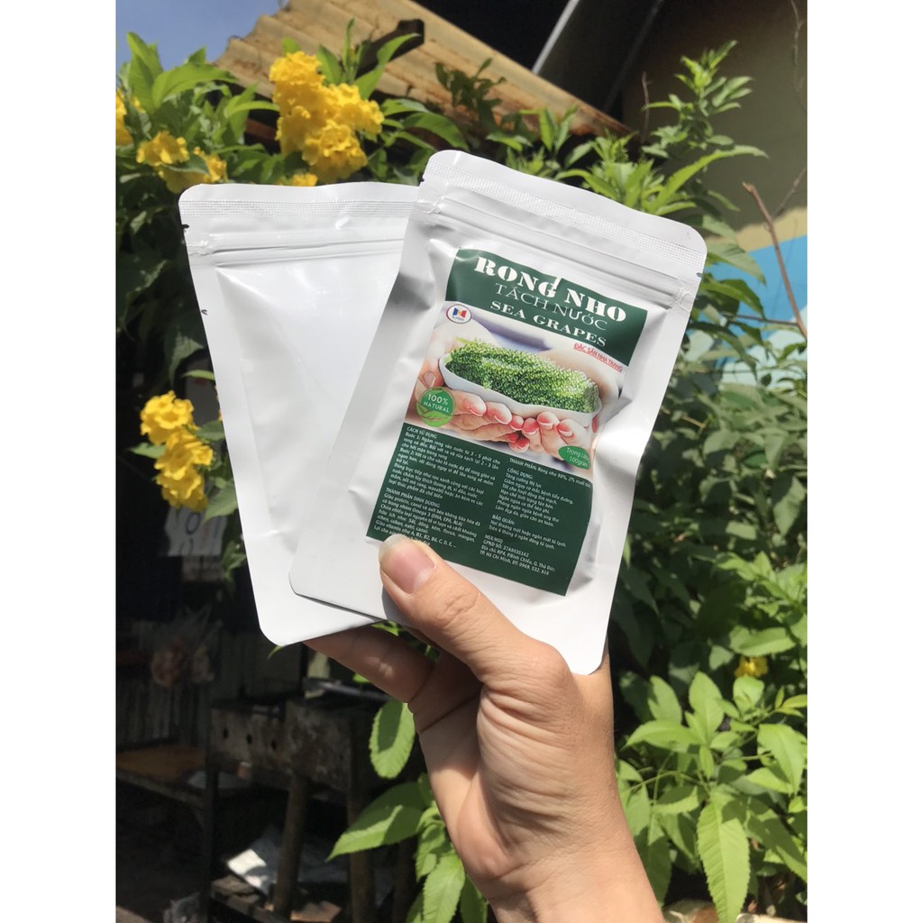 rong nho khô ( tách nước ) 100gram - Rong biển Khánh Hòa | BigBuy360 - bigbuy360.vn